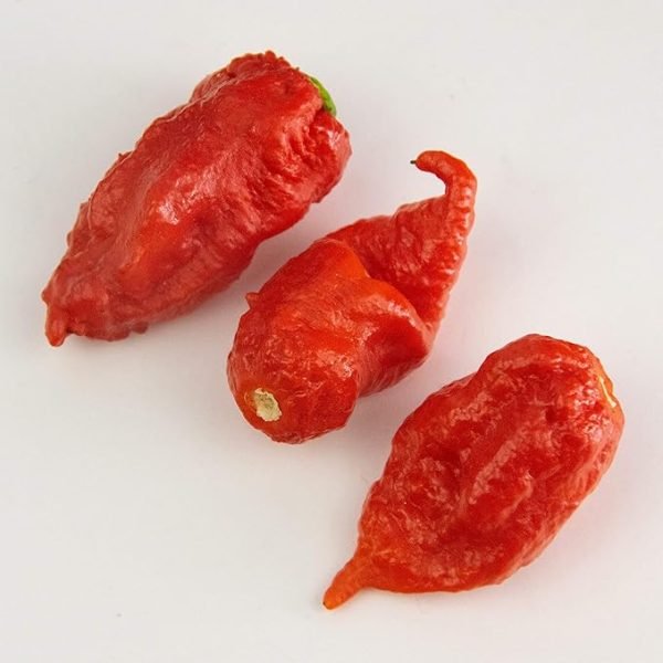 Bertie's Scorpion Pepper Sauce (300ml) - Image 3